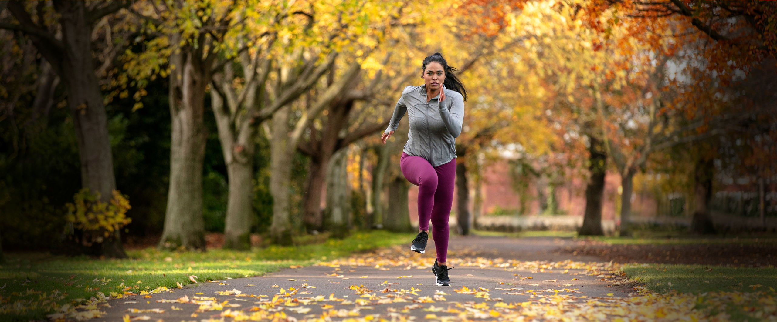 Runner in athletic wear on a tree-lined path during fall.