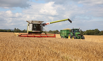 a combine harvester cutting corn and loading it into a trailer