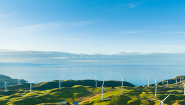 landscape shot, land, sea, windmills