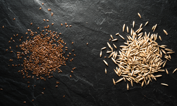 Consumers drive interest in plant-based beverages