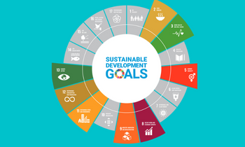 infographic outlining UN Sustainable Development Goals