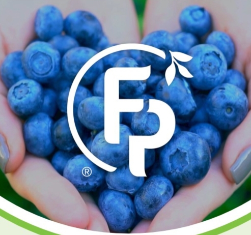 hand holding blueberries with Flavor Producers logo