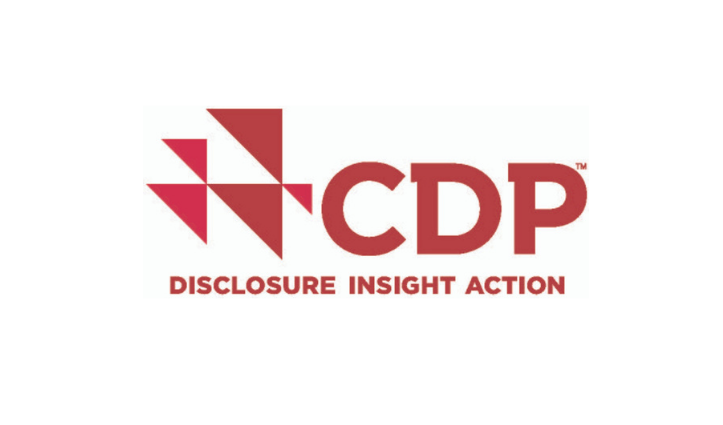 red text that says CDP Disclosure Insight Action 