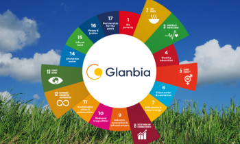 infographic outlining the UN Sustainable Development Goals