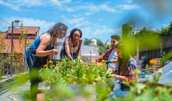 group of people planting plants
