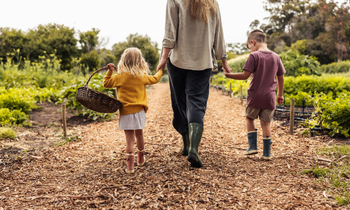 two children holding hands with an adult walking down a trail