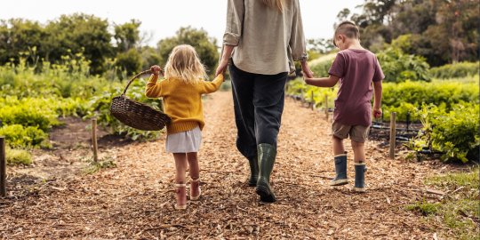 two children holding hands with an adult walking down a trail