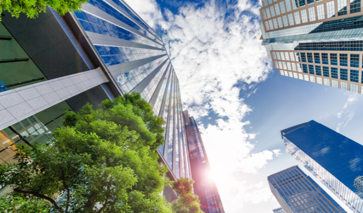 skyline, tree, buildings