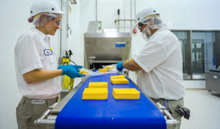 two workers on a supply line, making cheese
