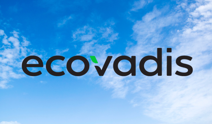 ecovadis logo on blue sky