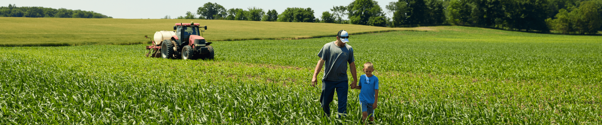field, grass, tractor, man, child