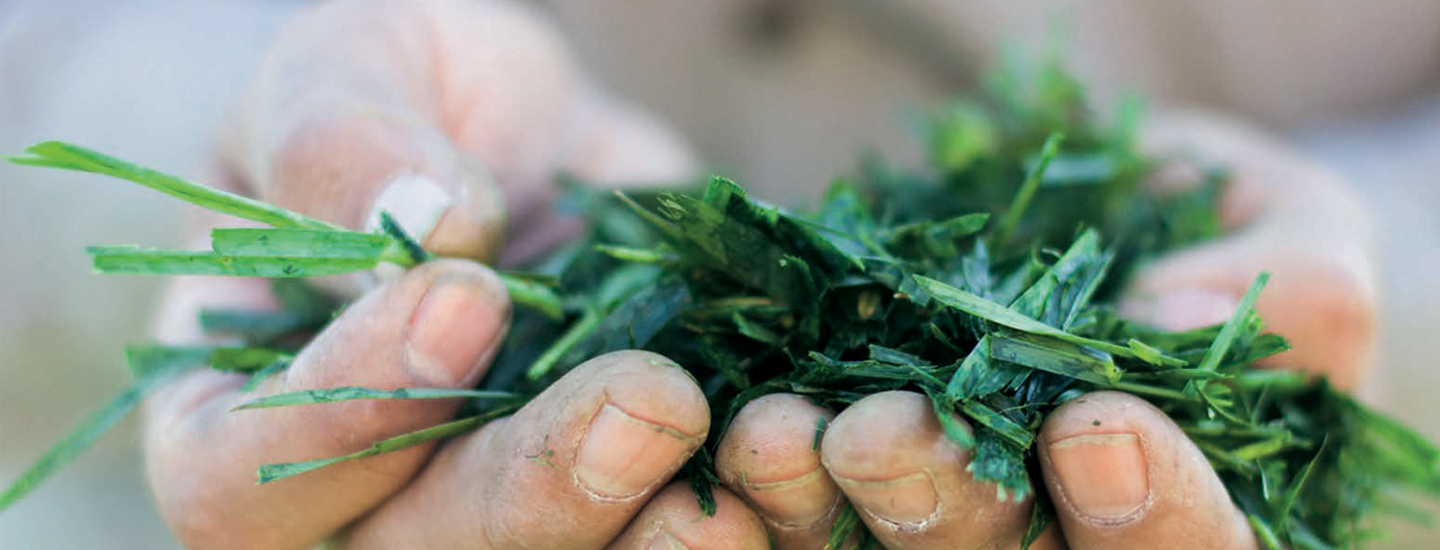 Focusing on what matters - Materiality Matrix