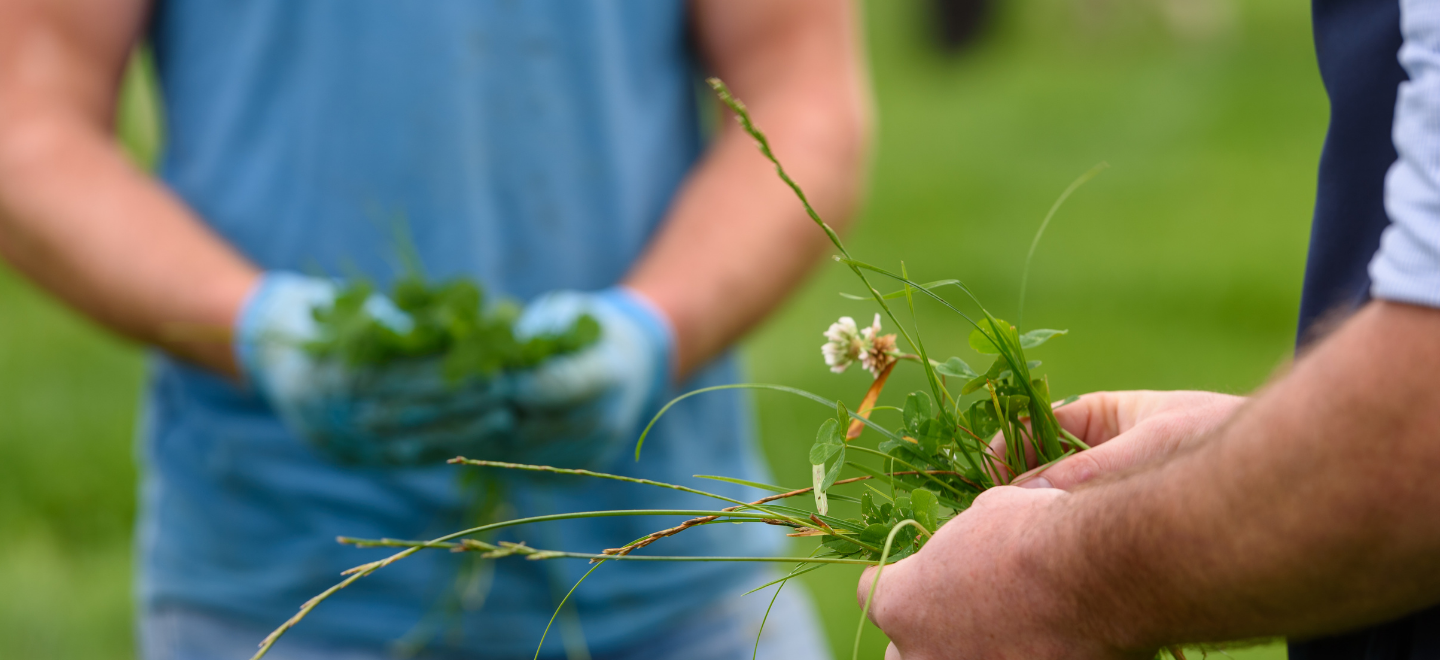 Glanbia plc completes sale of Glanbia Ireland