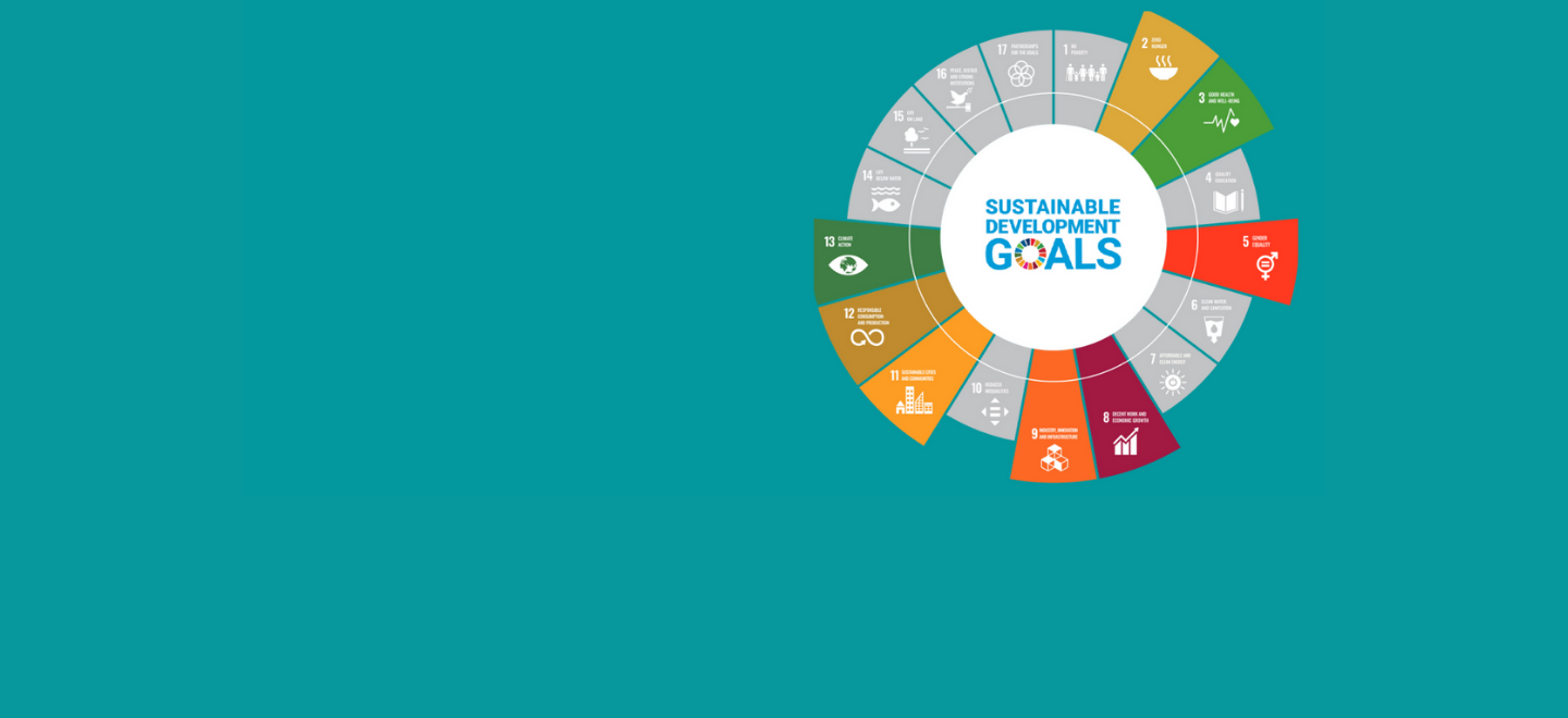 Our UN SDG commitment