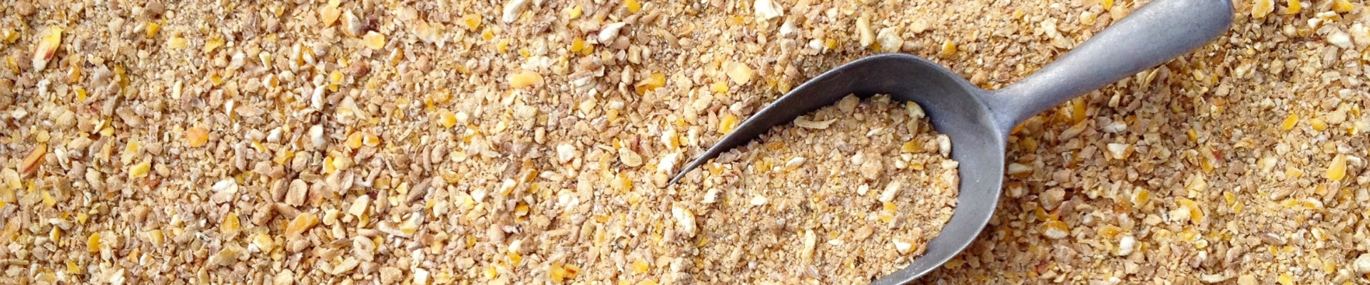 animal feed